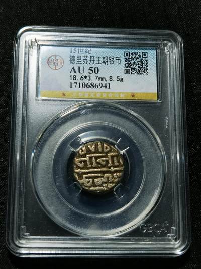 天下钱庄专场欢迎参拍 - 德里苏丹王朝银币