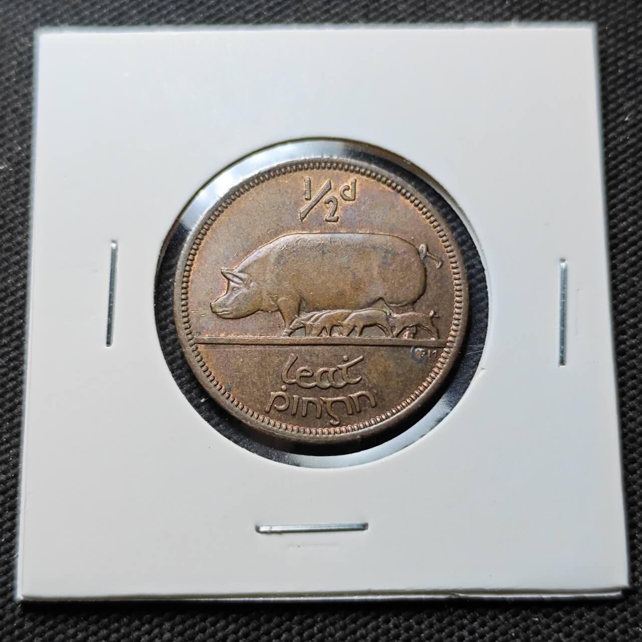 KK钱币收藏小铺 第376期  2月预留时间 周末发货  1964爱尔兰🐷