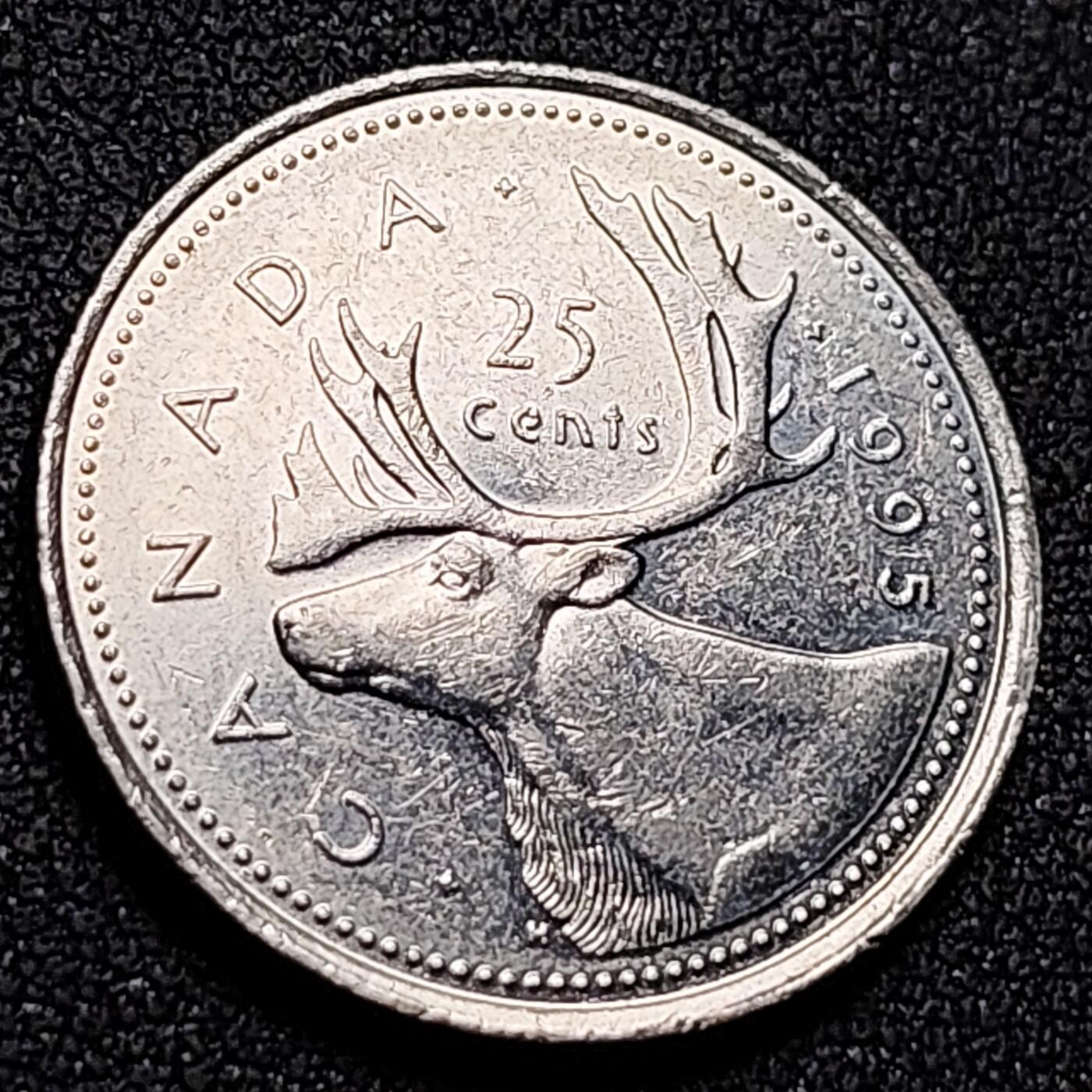 泉币菌-第143场-精品福利场 高币值 加拿大1995年1/4加拿大元 伊丽莎白二世 驯鹿 24mm