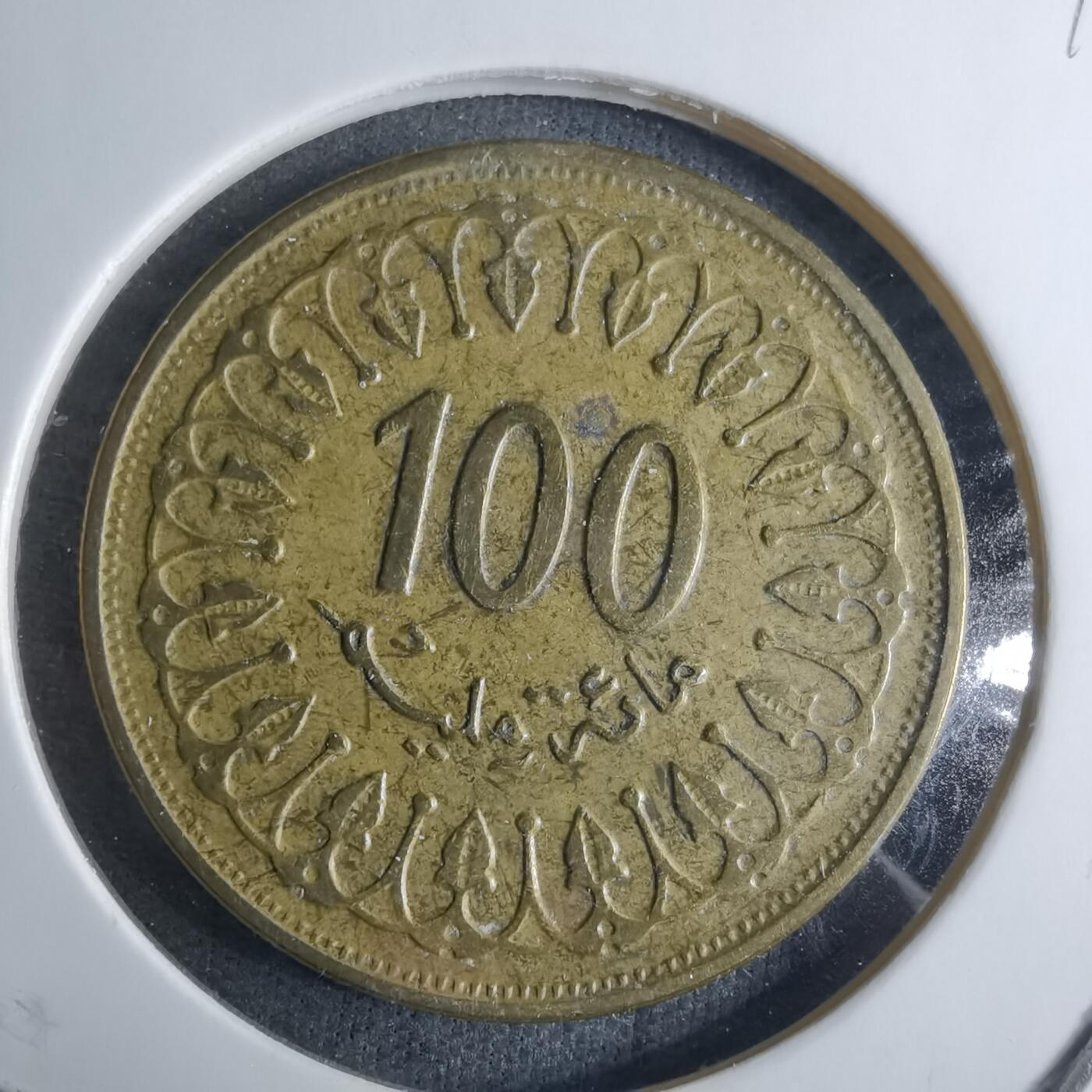 沼泽如烟--第926场