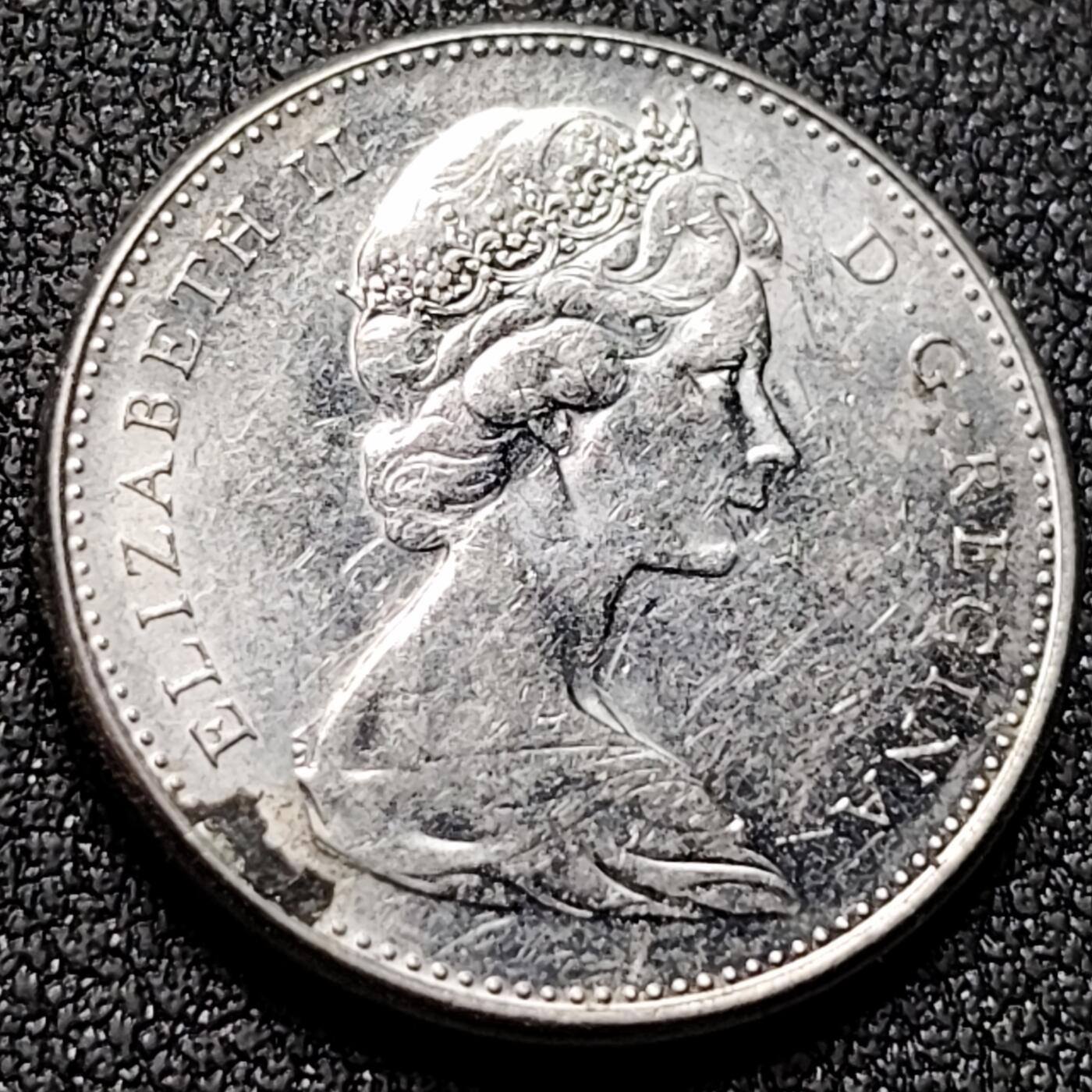 泉币菌-第144场-精品福利场 。