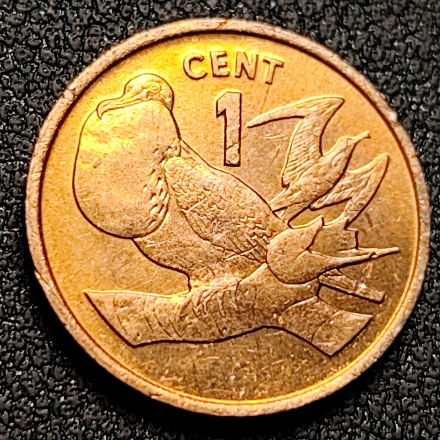 泉币菌-第144场-精品福利场 。