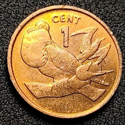 泉币菌-第144场-精品福利场 - 。