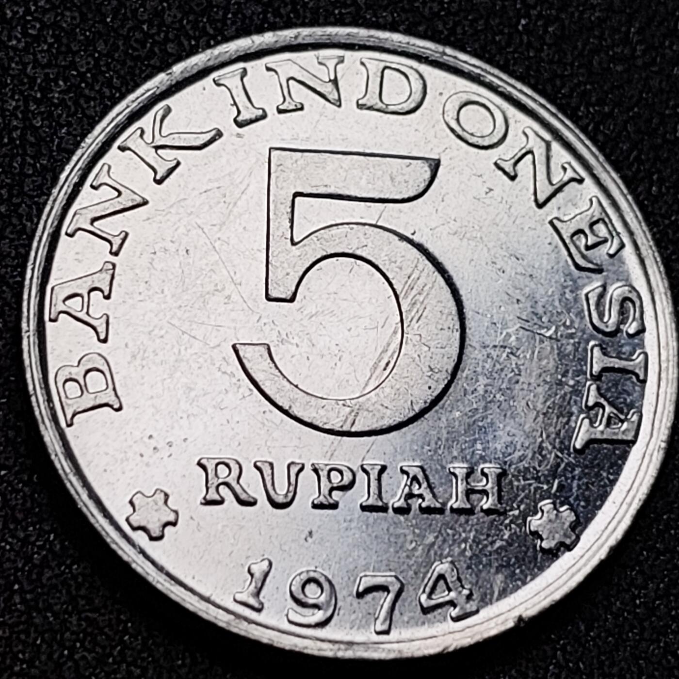 泉币菌-第145场-精品福利场 。