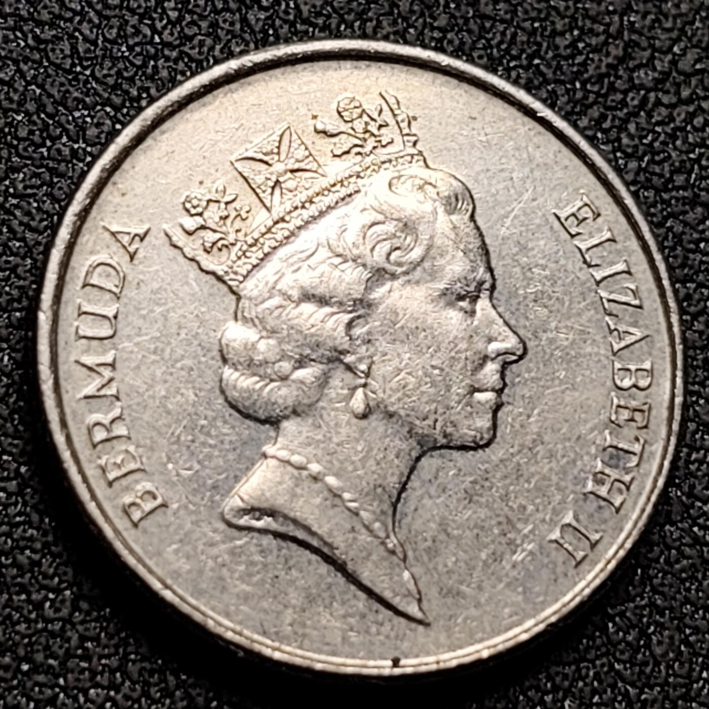 泉币菌-第144场-精品福利场 。