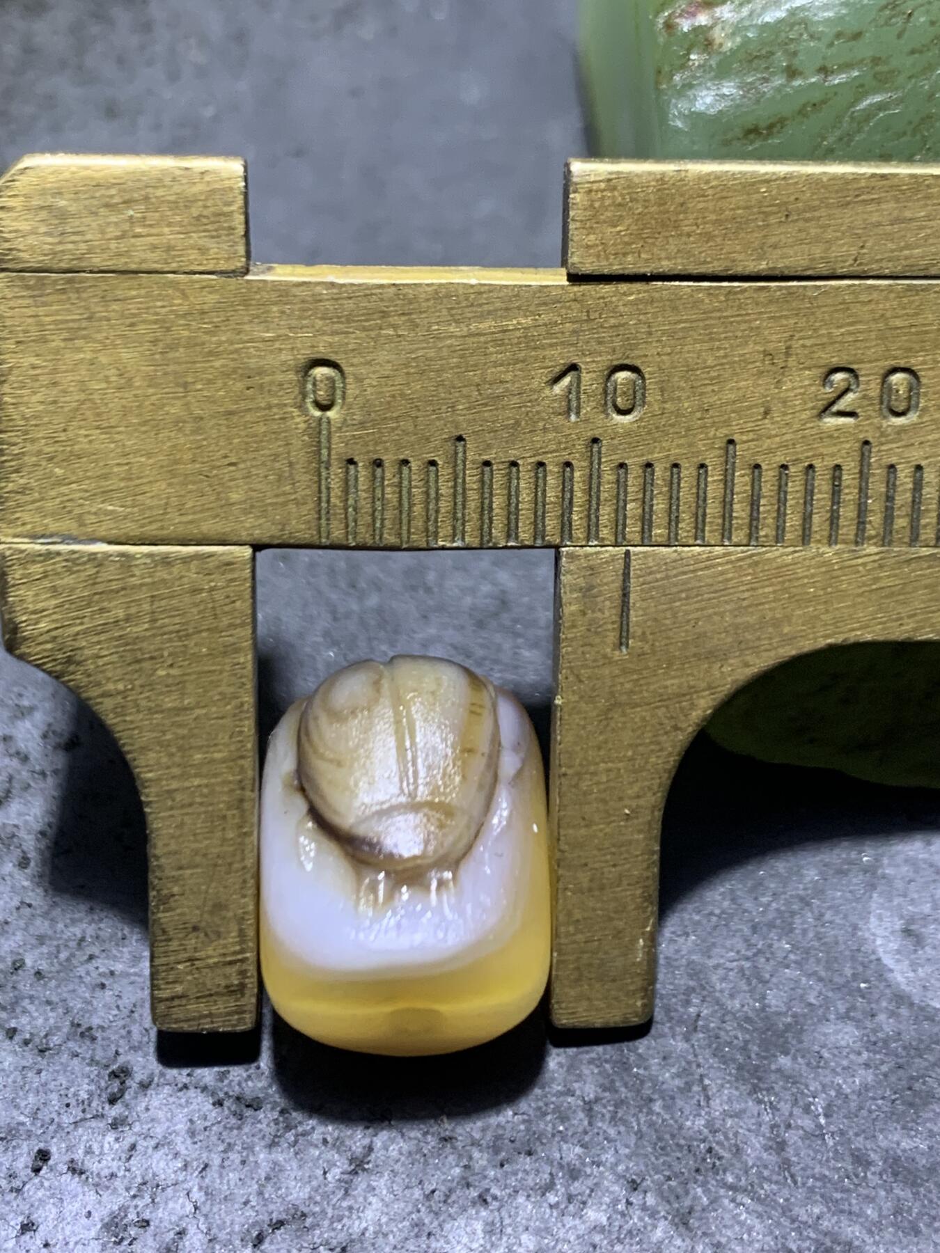 精美亚光高玉化海洋玉髓手工俏色巧雕甲壳虫直桶，桶珠一个！