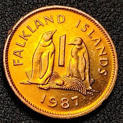 泉币菌-第143场-精品福利场 - 原铜光UNC 南美洲 英属福克兰群岛1便士 企鹅 20mm