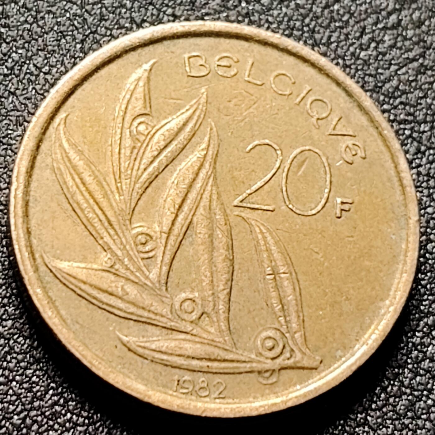 泉币菌-第144场-精品福利场 。