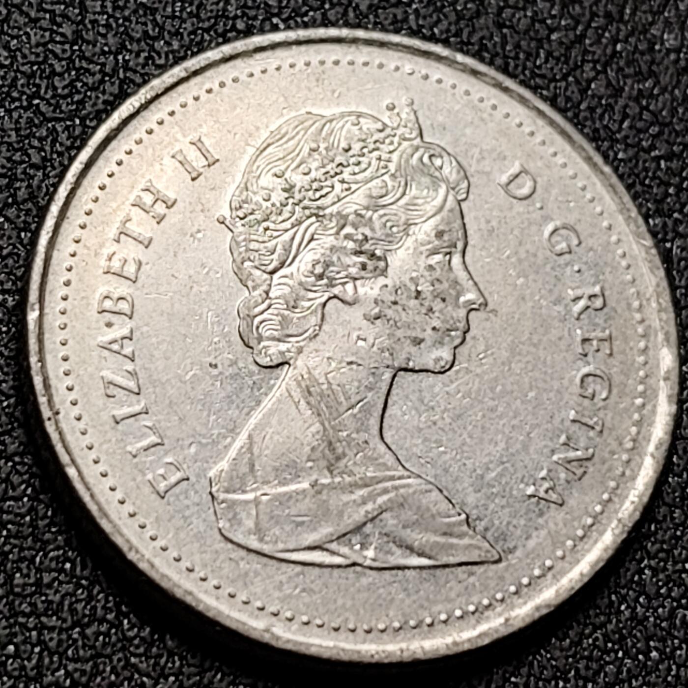 泉币菌-第144场-精品福利场 。