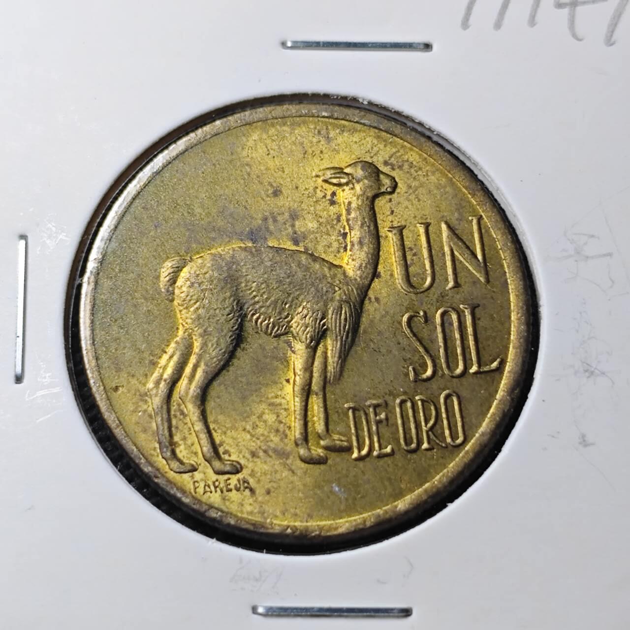 KK钱币收藏小铺 第377期  2月预留时间 周末发货