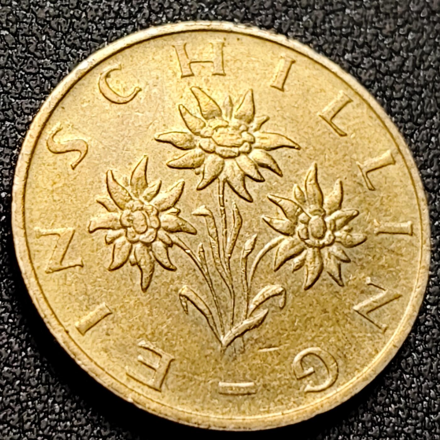 泉币菌-第143场-精品福利场 。