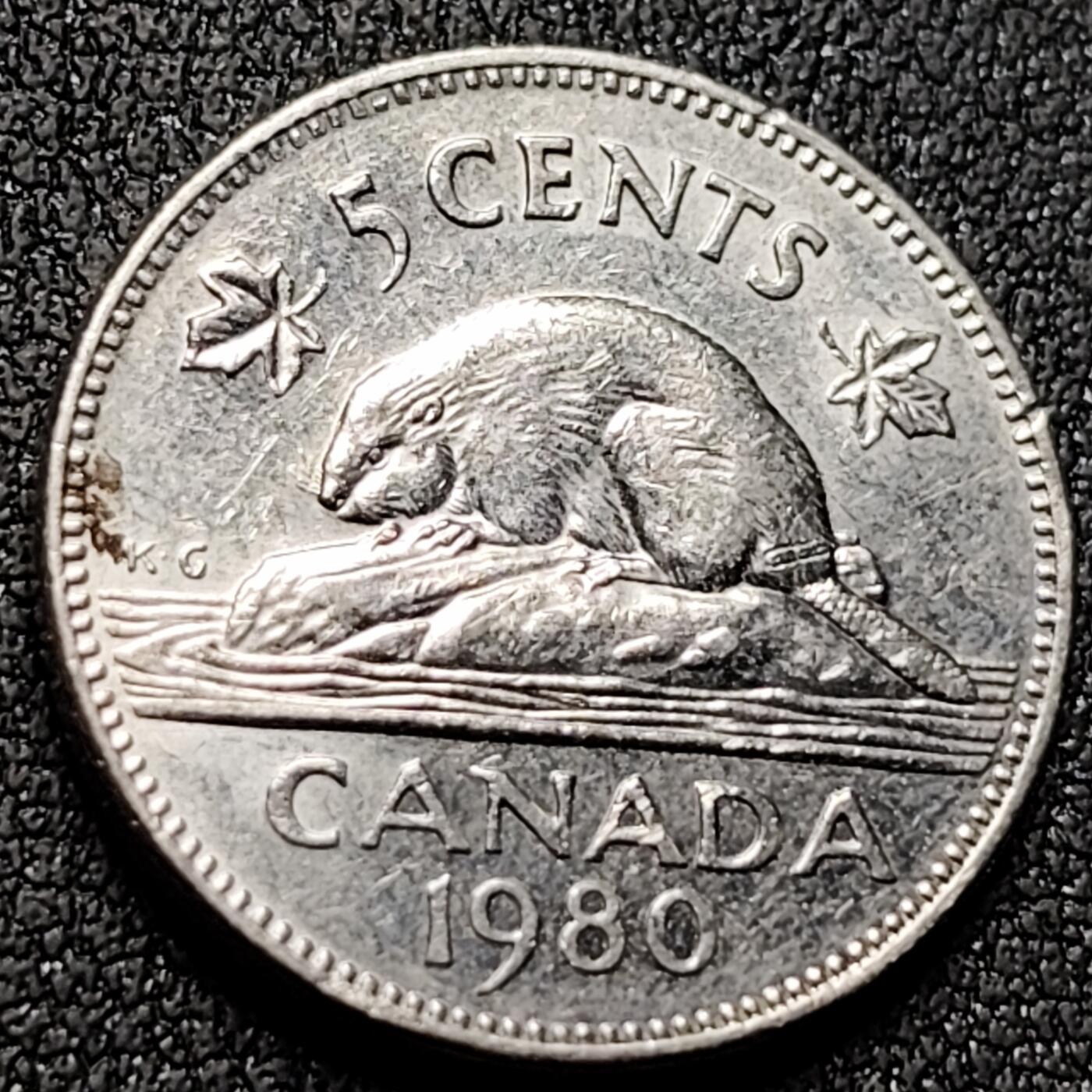 泉币菌-第144场-精品福利场 。