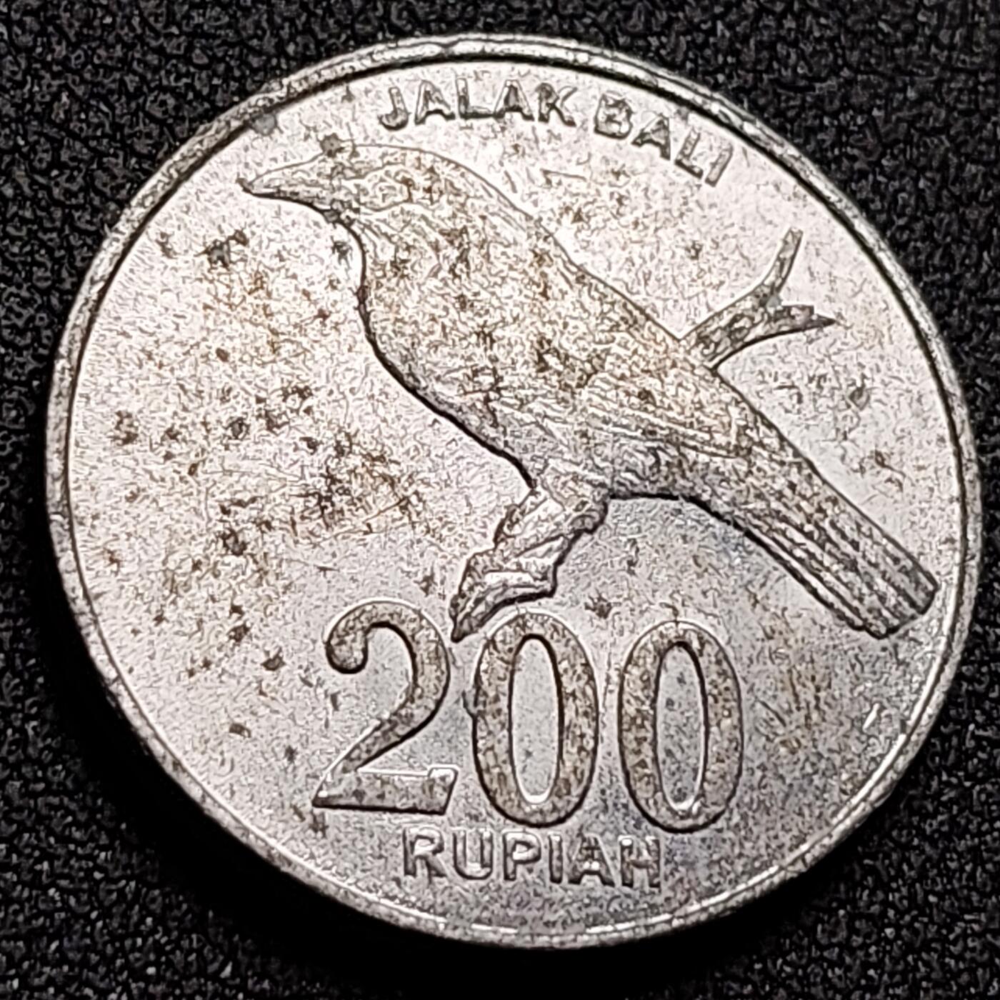 泉币菌-第143场-精品福利场 。