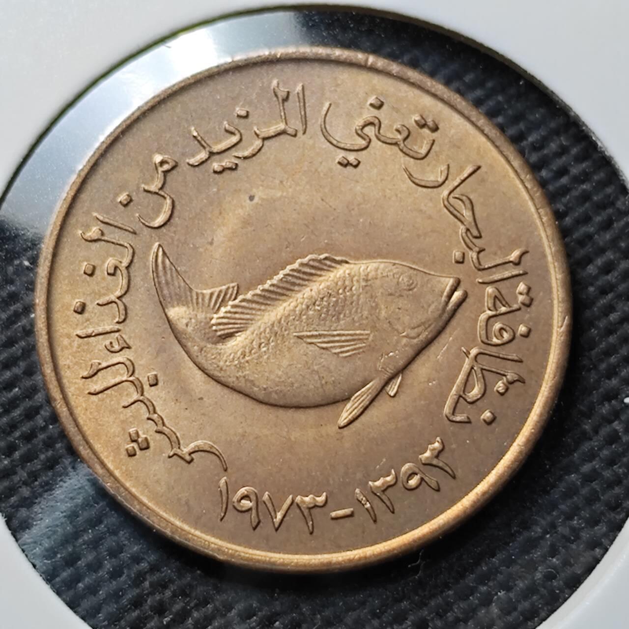 KK钱币收藏小铺 第376期  2月预留时间 周末发货  阿联酋5费尔 好品铜币