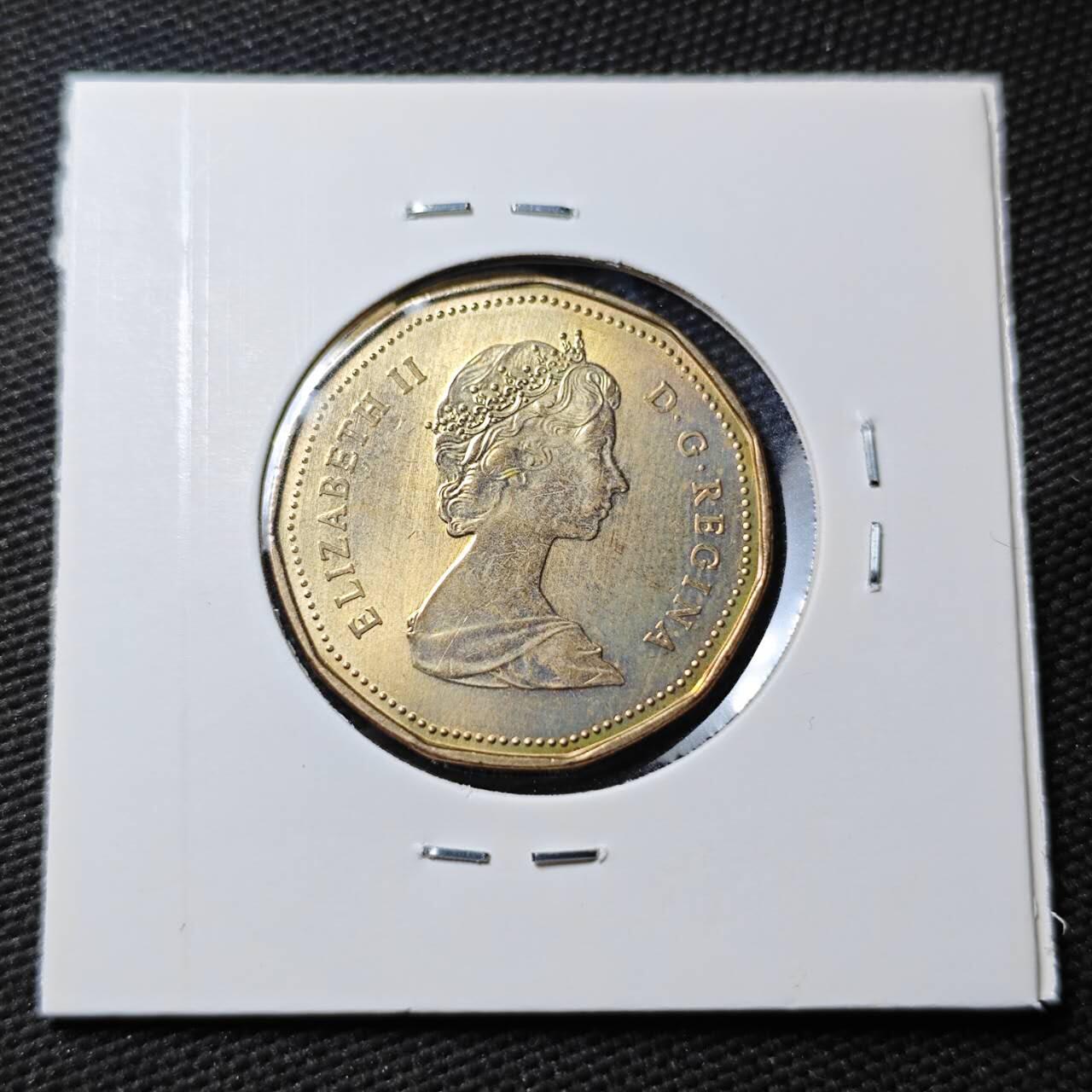 KK钱币收藏小铺 第377期  2月预留时间 周末发货