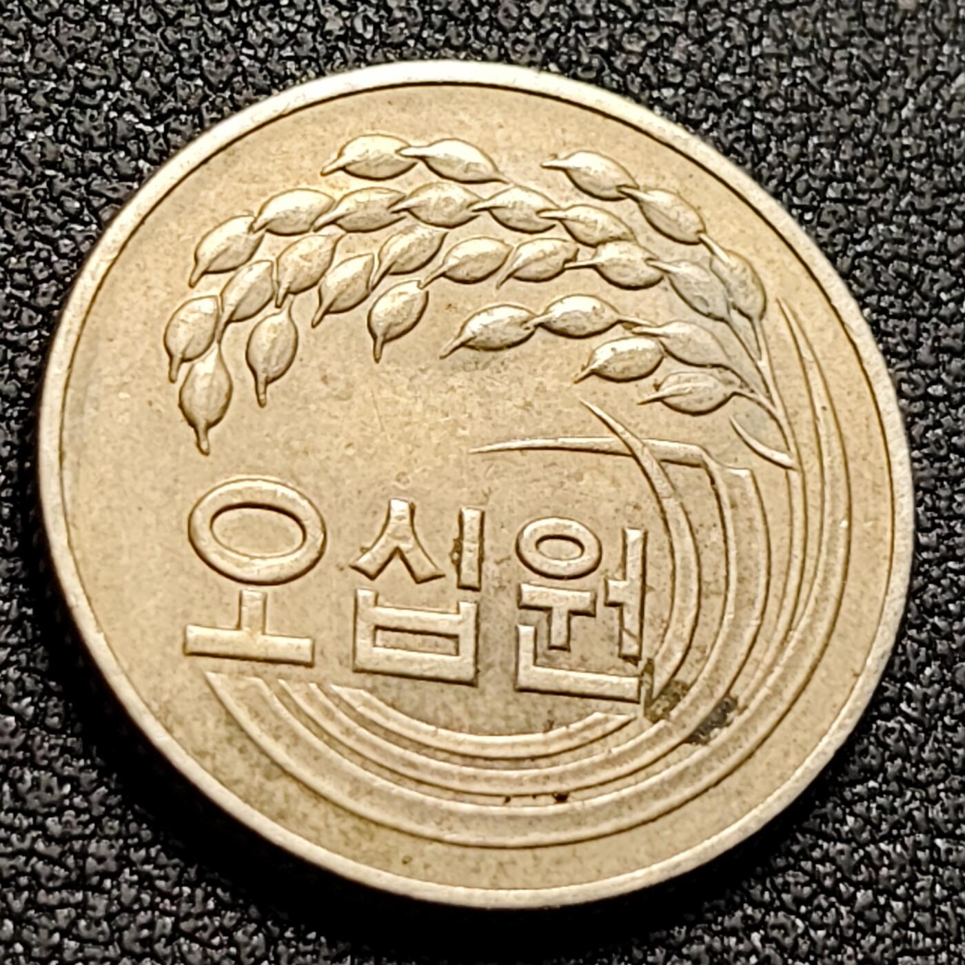 泉币菌-第143场-精品福利场 。