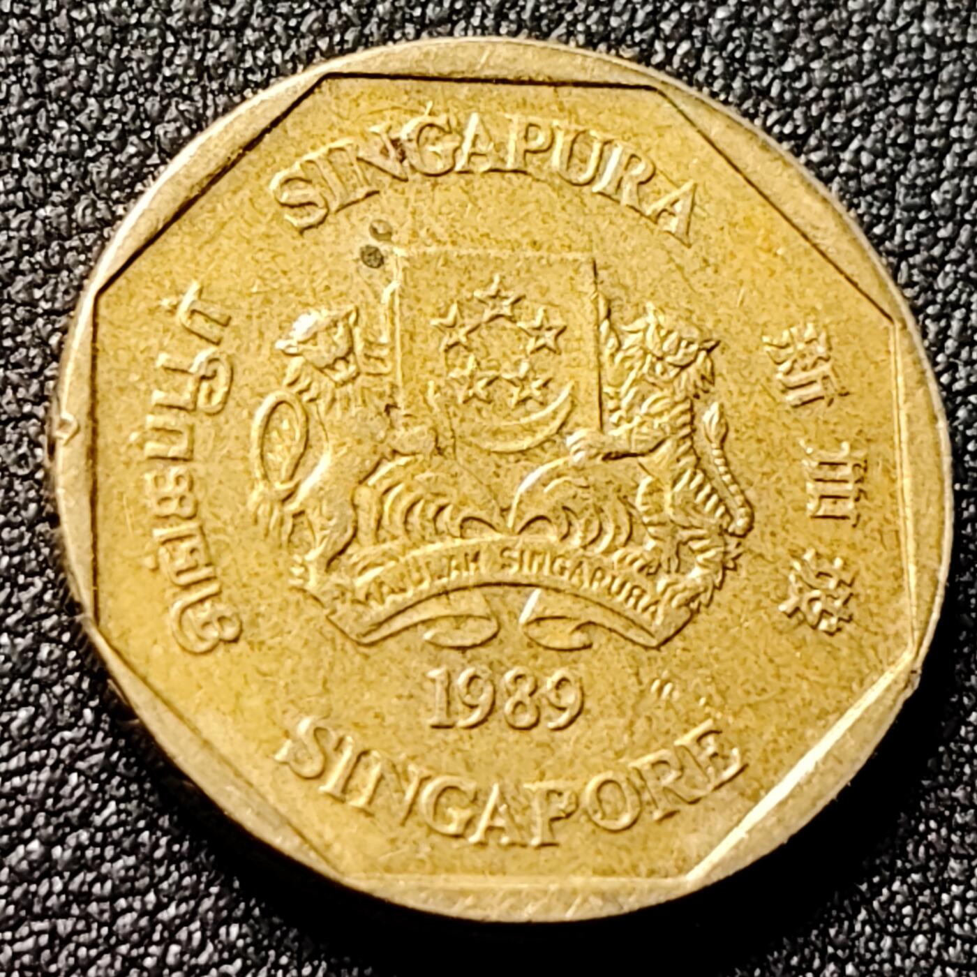 泉币菌-第144场-精品福利场 。