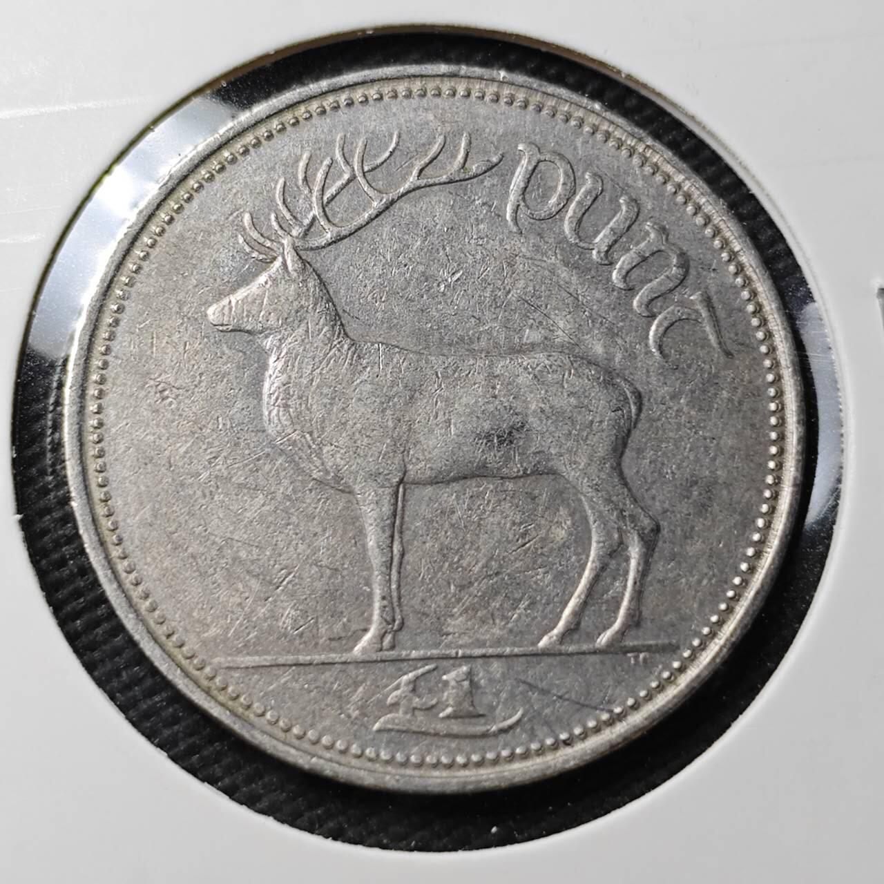 KK钱币收藏小铺 第377期  2月预留时间 周末发货