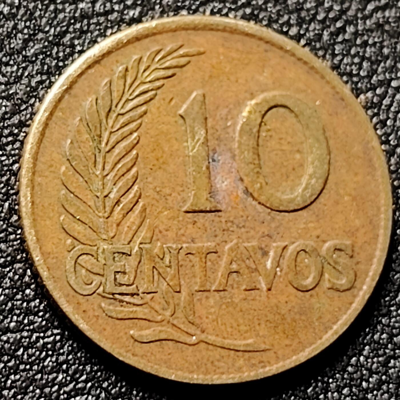 泉币菌-第144场-精品福利场 。