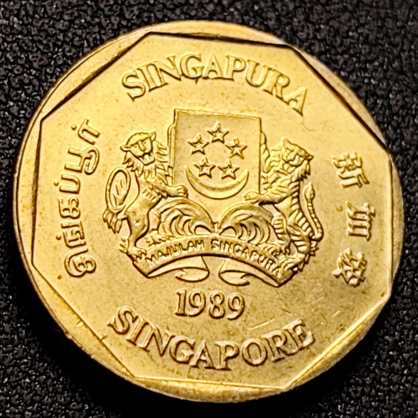 泉币菌-第144场-精品福利场 。