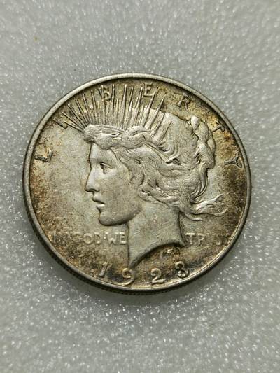 天下钱庄专场欢迎参拍 - 美国和平鸽一美元银币