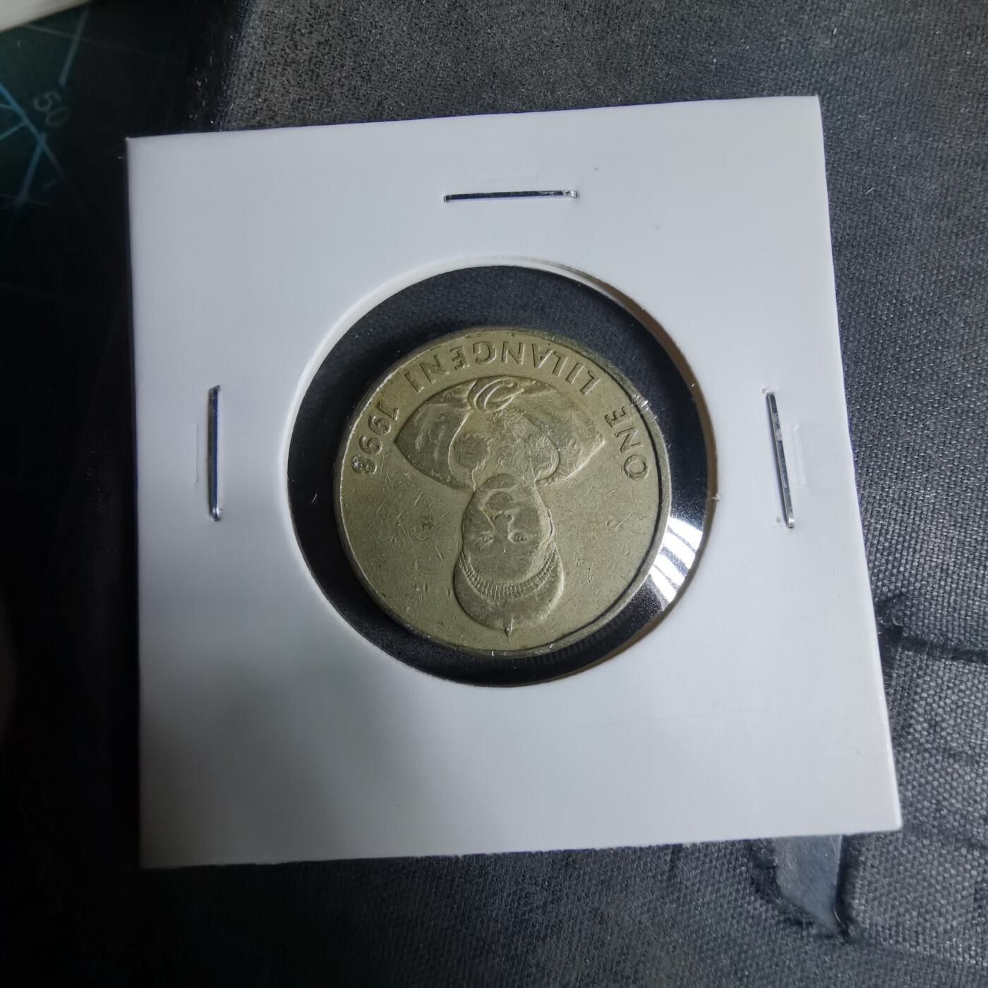 沼泽如烟--第927场 斯威士兰1996年