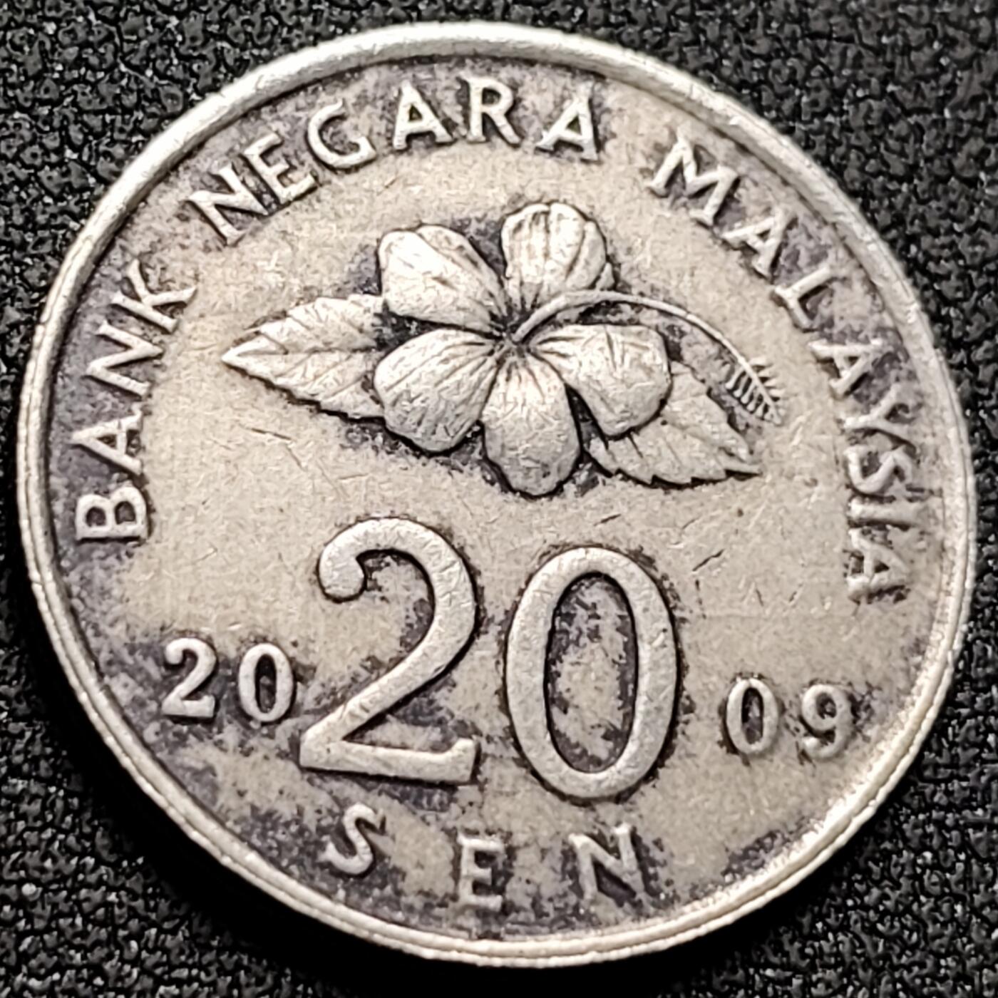 泉币菌-第143场-精品福利场 。