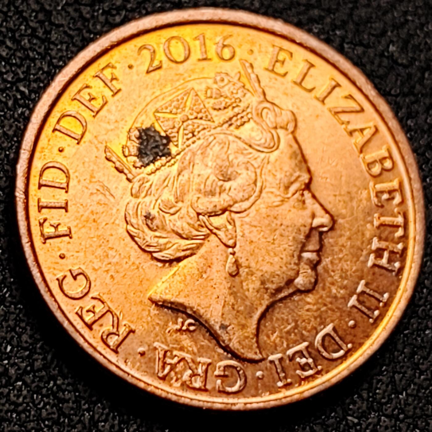 泉币菌-第144场-精品福利场 。