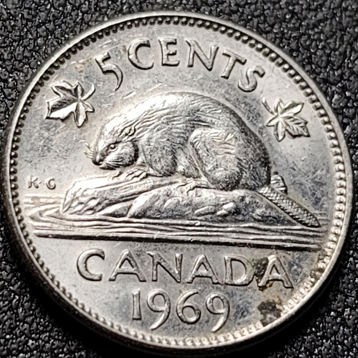 泉币菌-第144场-精品福利场 。