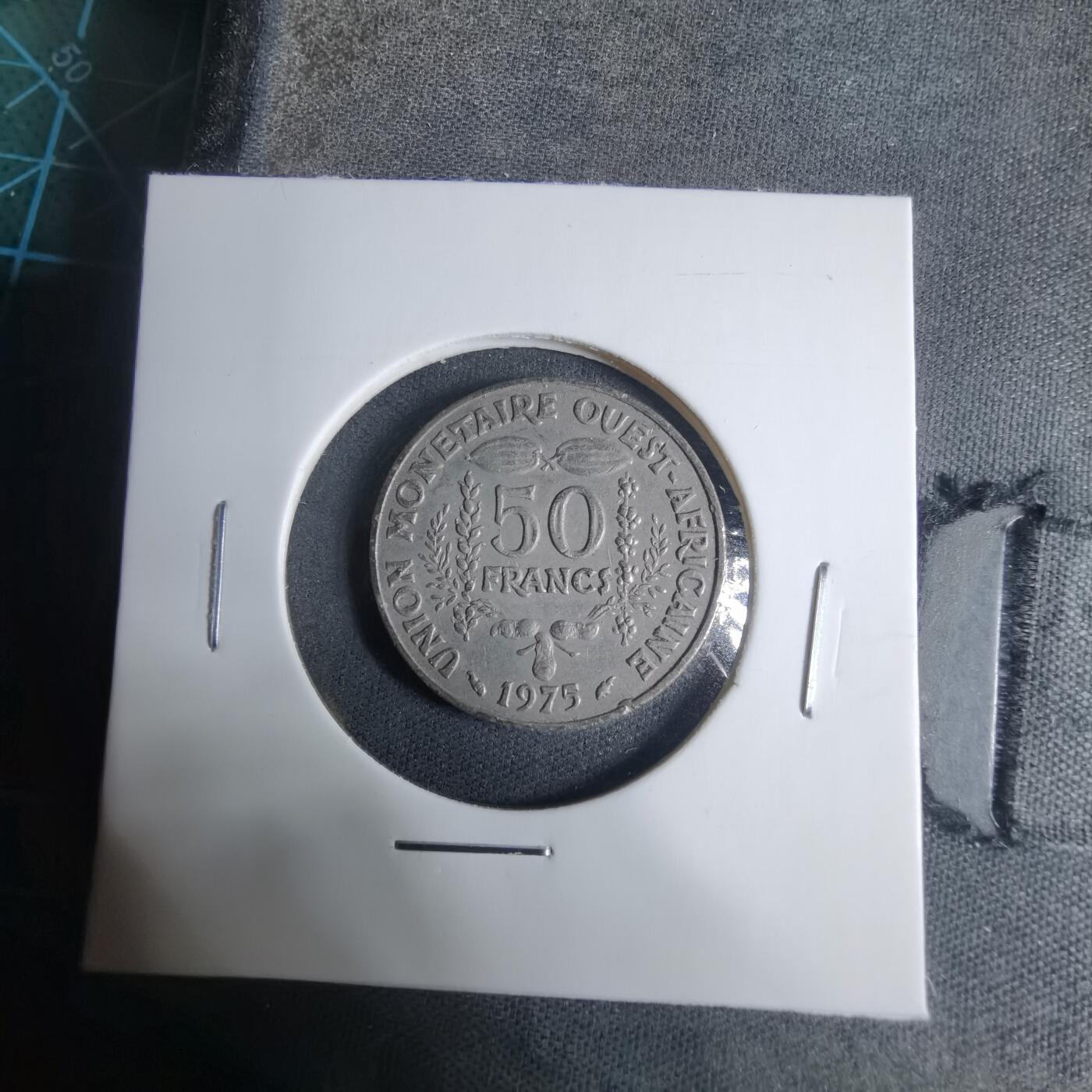 沼泽如烟--第927场