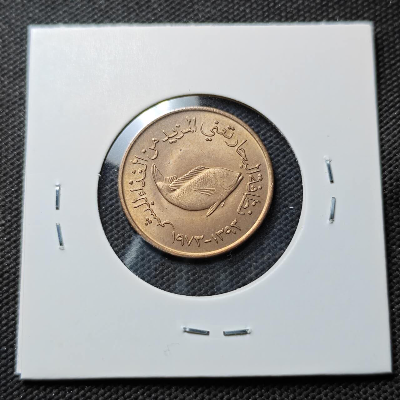 KK钱币收藏小铺 第376期  2月预留时间 周末发货  阿联酋5费尔 好品铜币