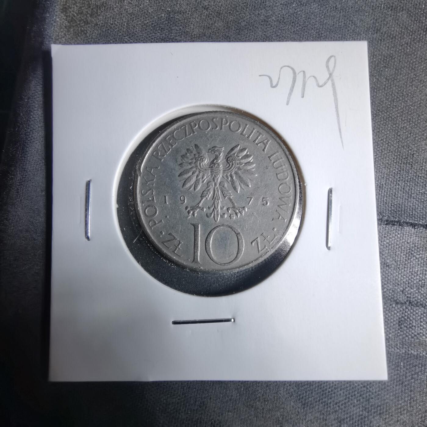 沼泽如烟--第927场