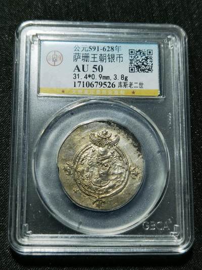 天下钱庄专场欢迎参拍 - 萨珊王朝银币