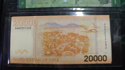 世界钱币～微拍第219期暨2025年第59期  老库存低价起拍 - 2020年智利20000比索 全新绝品无4尾号292