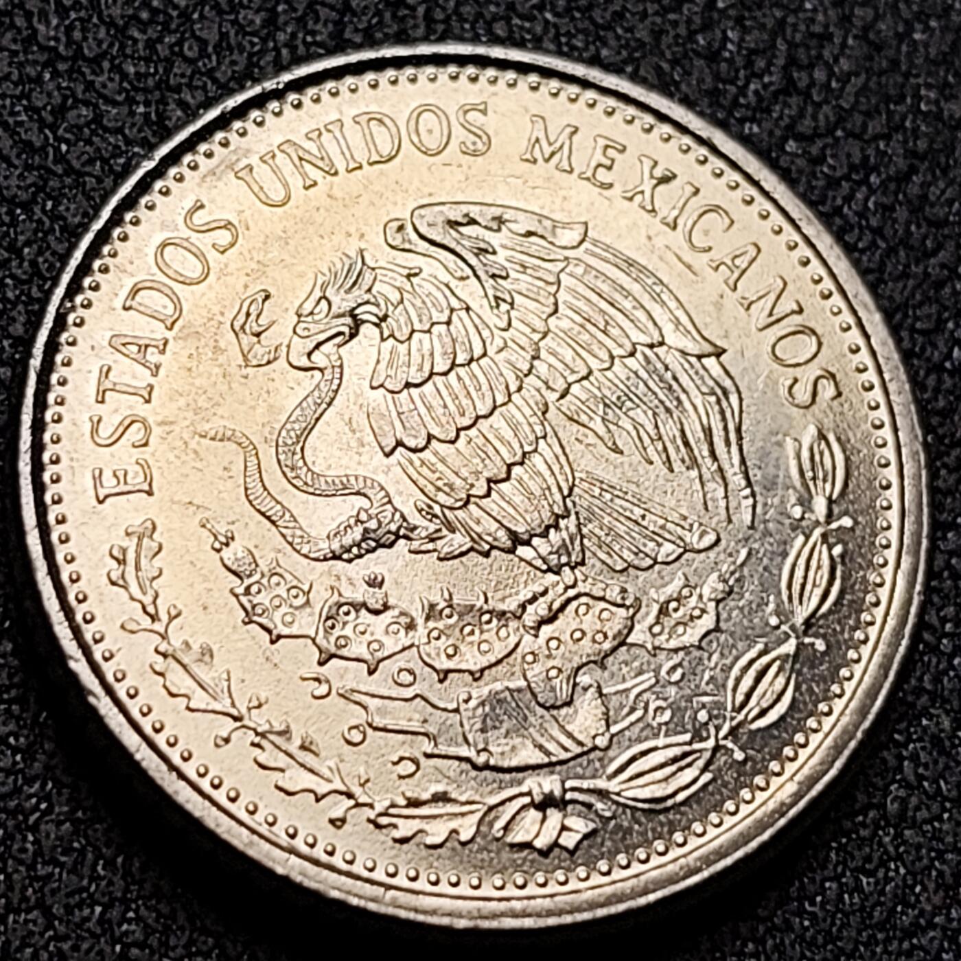 泉币菌-第145场-精品福利场 。