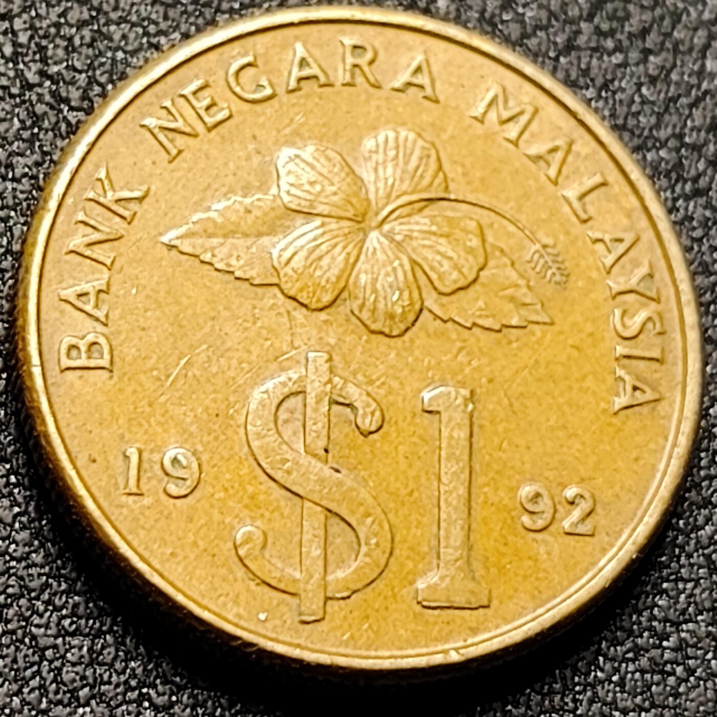 泉币菌-第143场-精品福利场 。