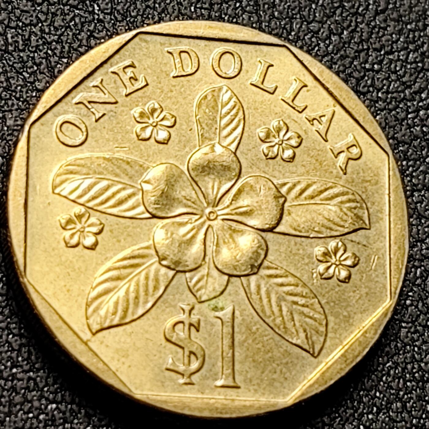 泉币菌-第143场-精品福利场 。