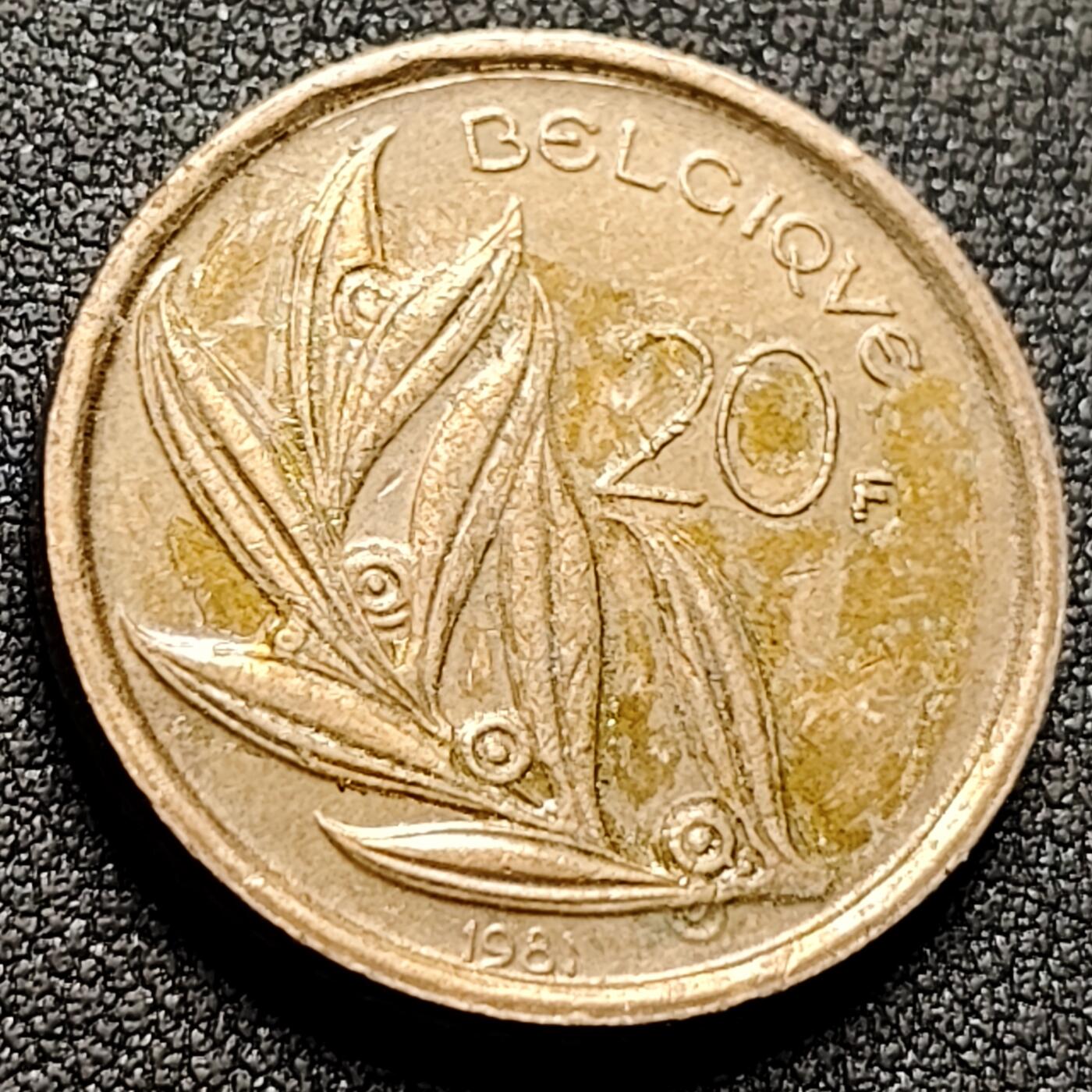 泉币菌-第143场-精品福利场 。