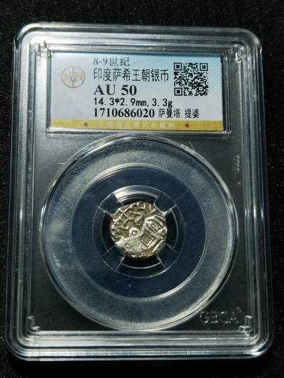 天下钱庄专场欢迎参拍 - 萨希王朝银币