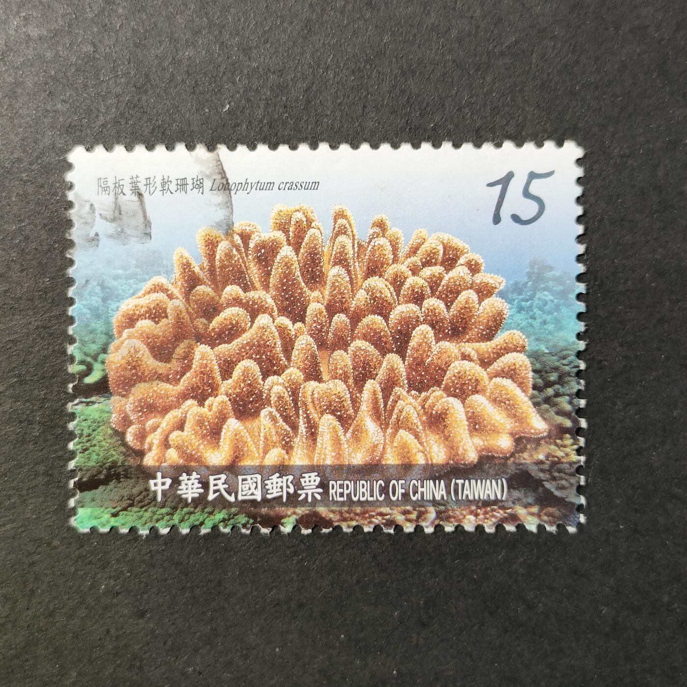 嘉禾收藏    【第402期】            无佣金、可寄存、满30元包邮 邮票一枚