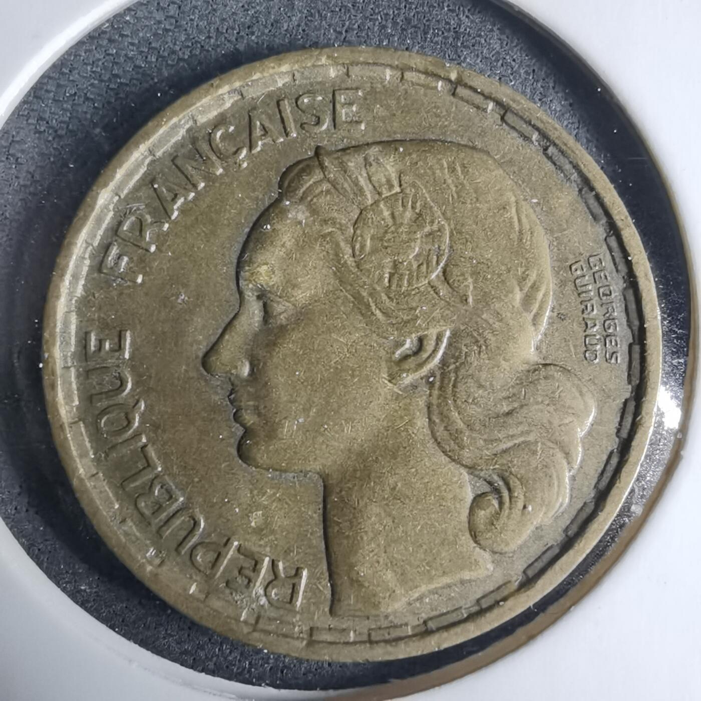 沼泽如烟--第927场