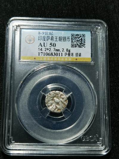 天下钱庄专场欢迎参拍 - 萨希王朝银币