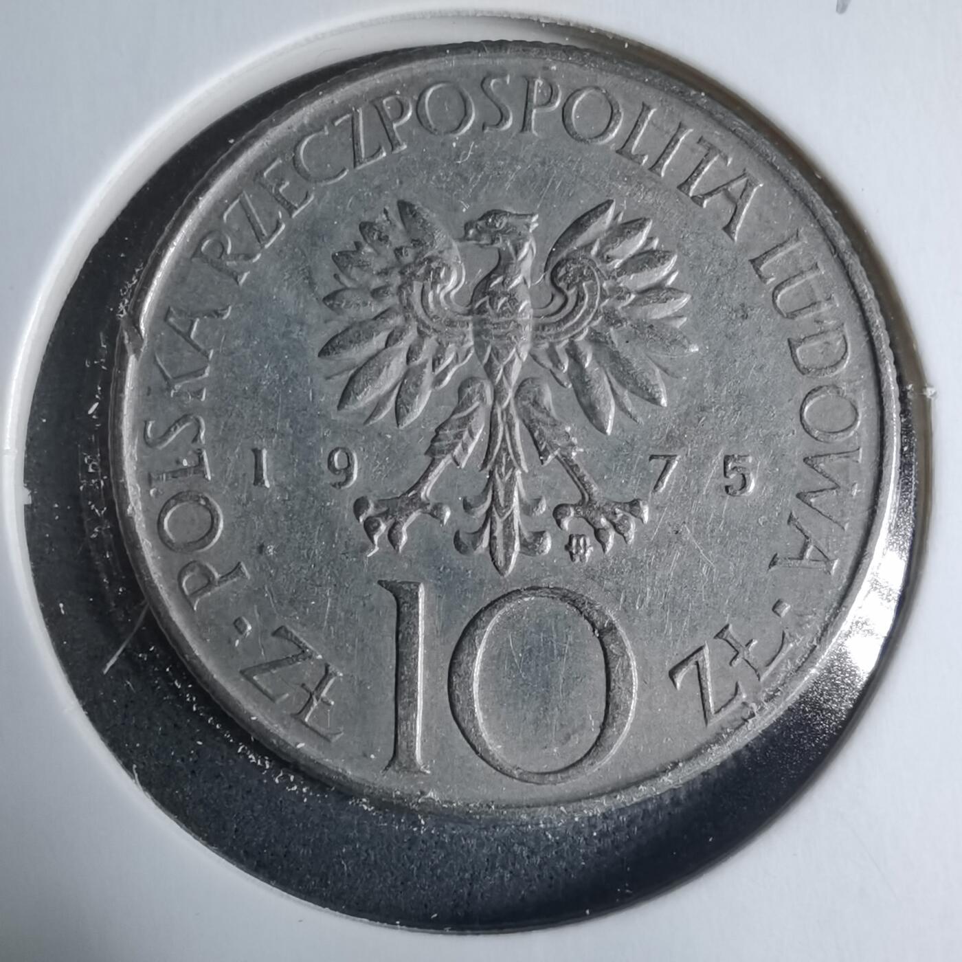 沼泽如烟--第927场