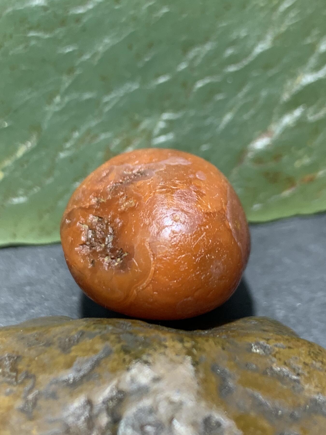 精美柿子红飘白水冲籽川料南红玛瑙原石一颗，