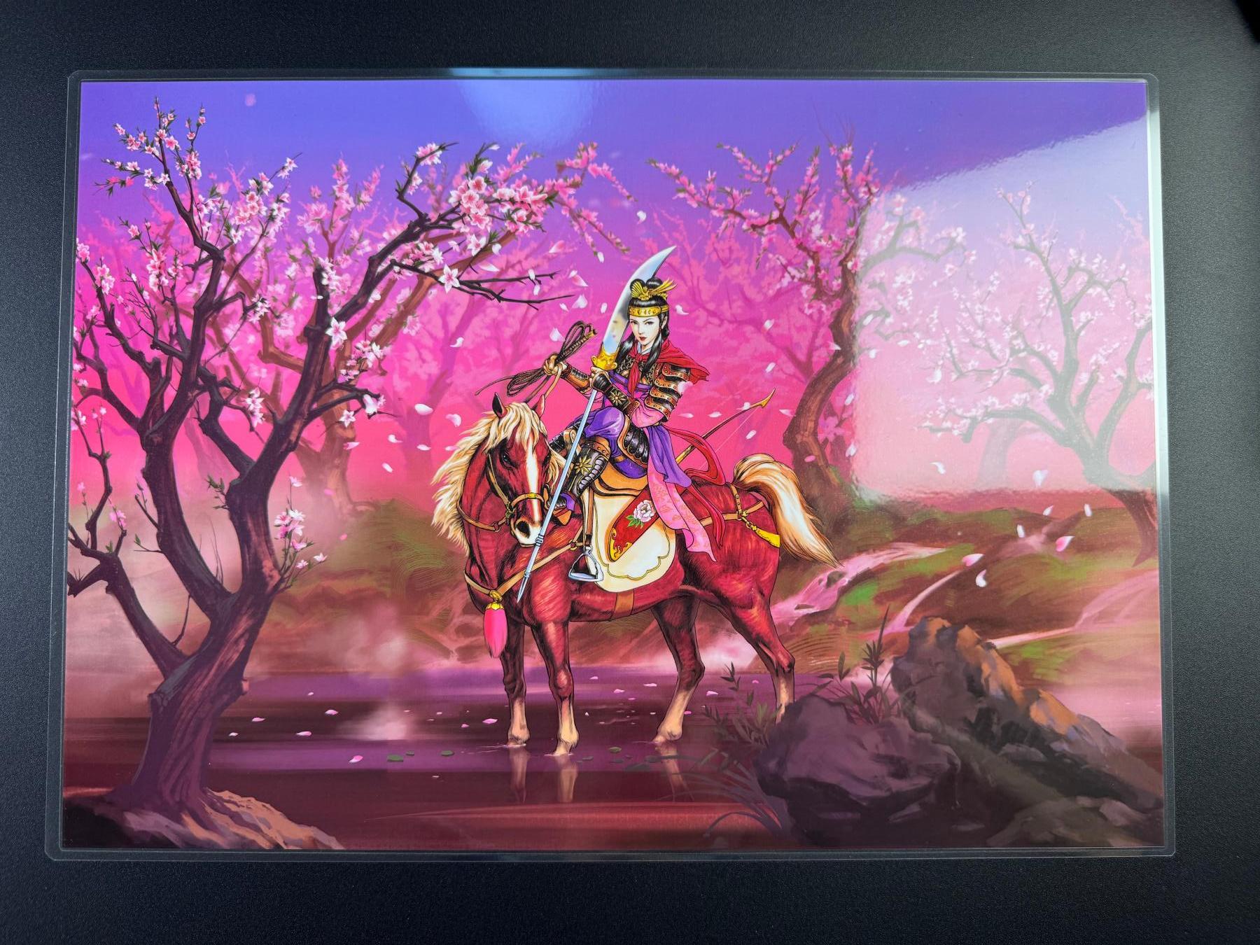 NO.17 好又多金牌大场，新店点关注不迷路！每周一站式配齐，方便凑单！（周6晚8点截拍，卖家送拍0抽成！） 小浣熊30周年 扈三娘全景防水海报