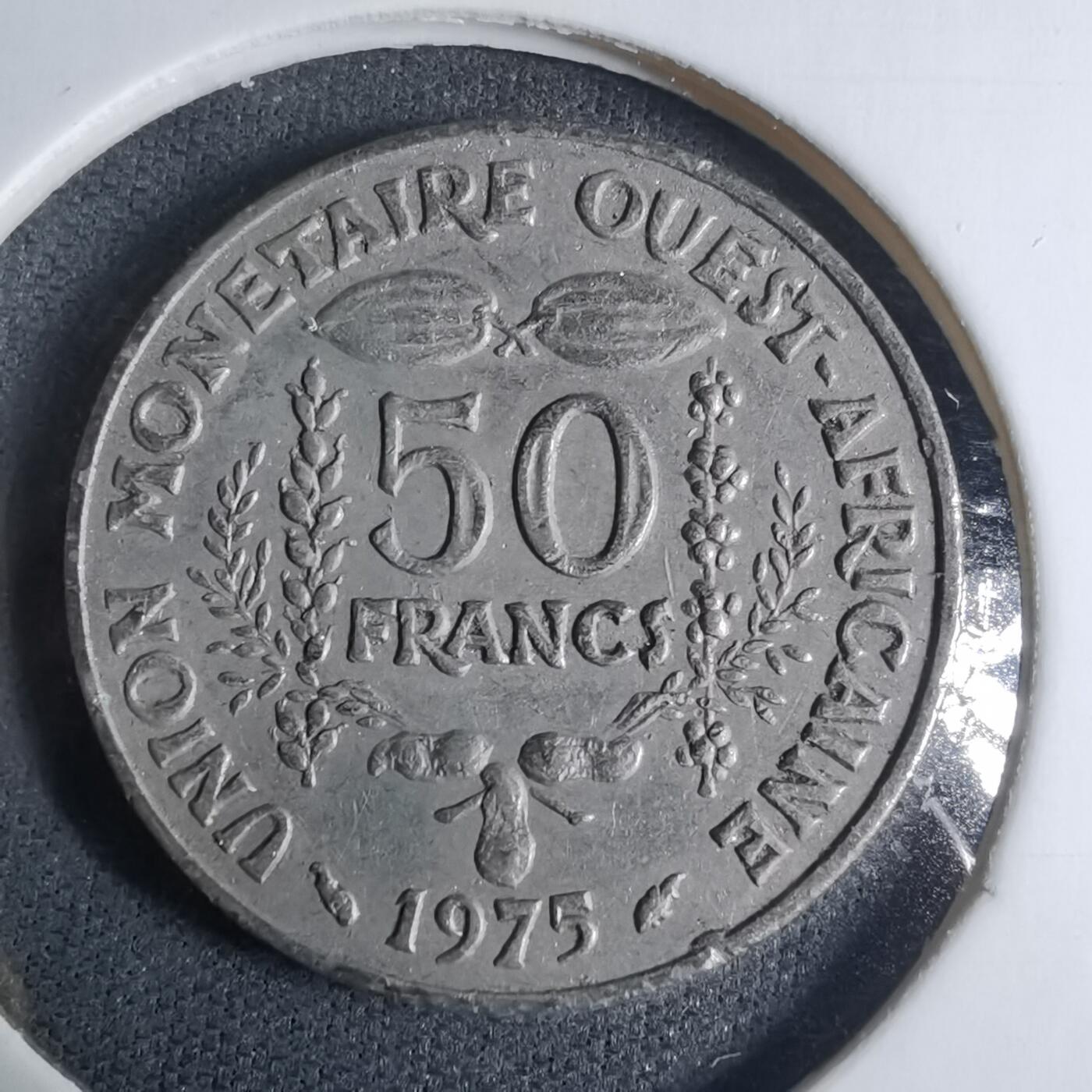 沼泽如烟--第927场