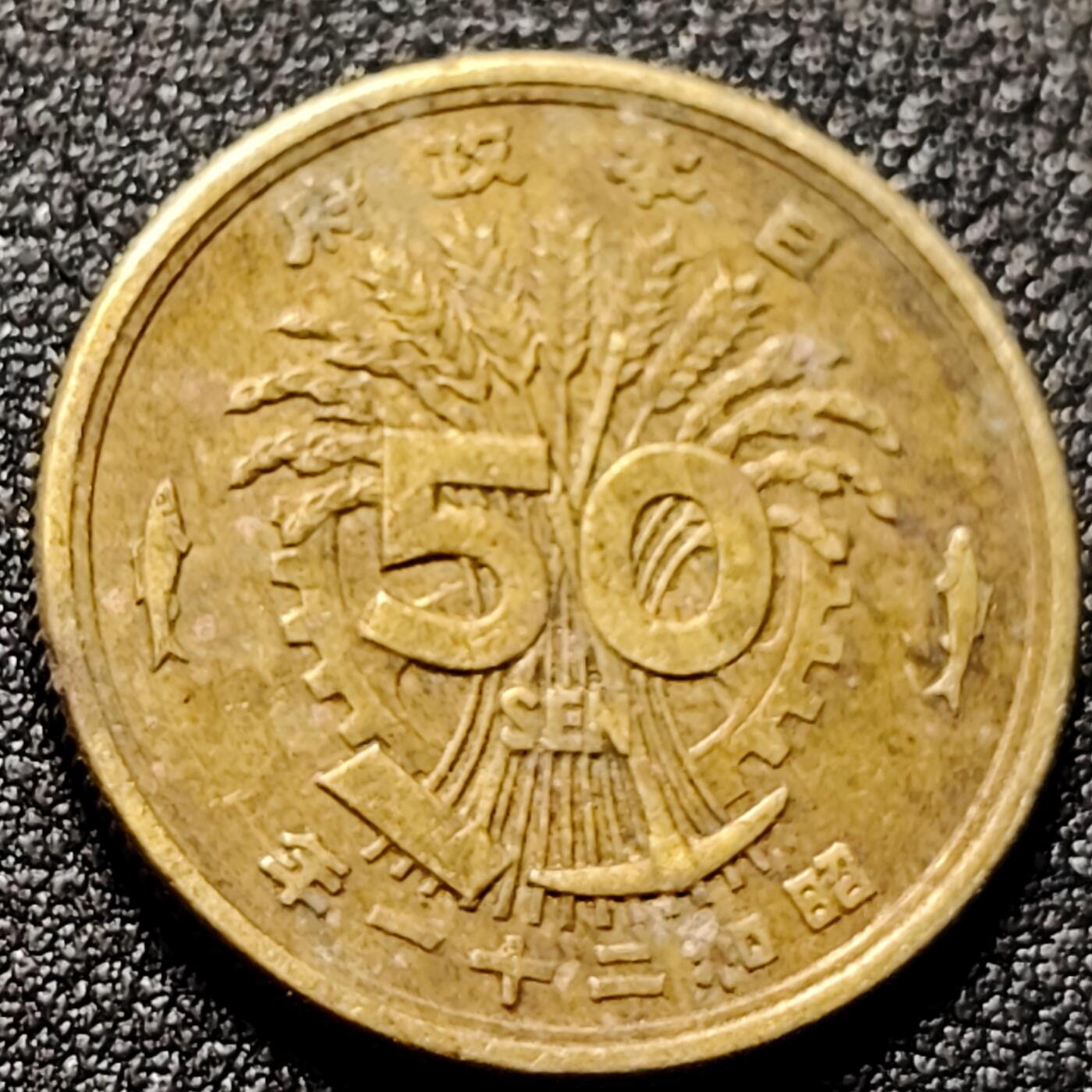 泉币菌-第144场-精品福利场 。