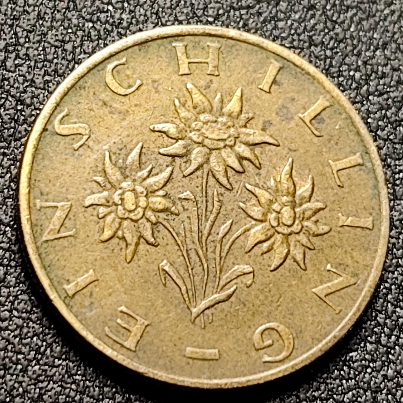 泉币菌-第144场-精品福利场 。