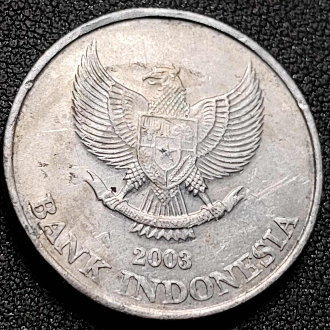 泉币菌-第143场-精品福利场 。