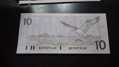 世界钱币～微拍第219期暨2025年第59期  老库存低价起拍 - 1989年加拿大10 全新绝品无4尾号5169